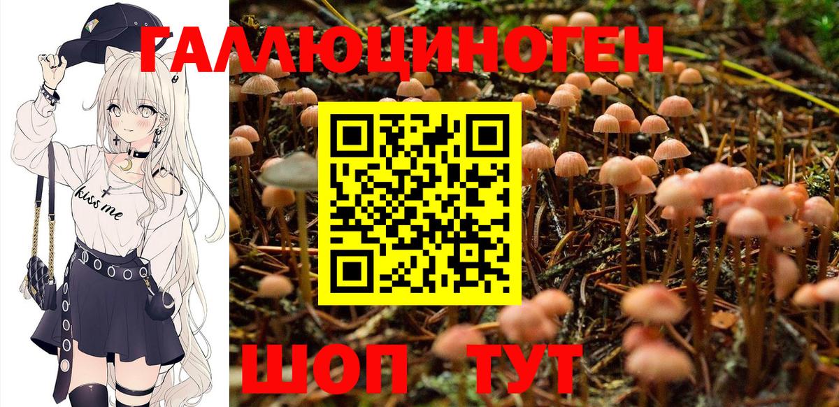 Псилоцибиновые грибы MAGIC MUSHROOMS Минеральные Воды