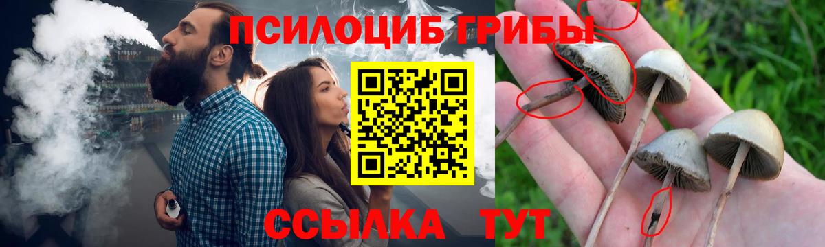 Псилоцибиновые грибы прущие грибы  Псилоцибиновые грибы мухоморы  Минеральные Воды  Вход с VPN 